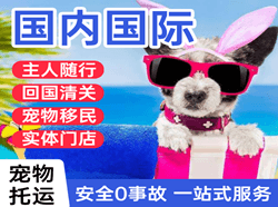 莎车叶尔羌机场快递国际宠物托运 【国
